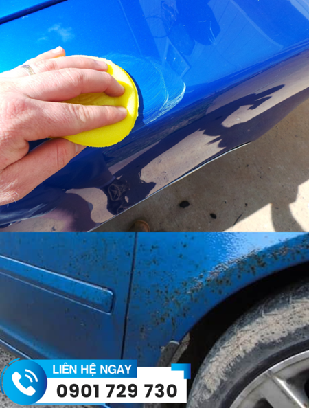 Tẩy nhựa đường - bụi sơn ô tô